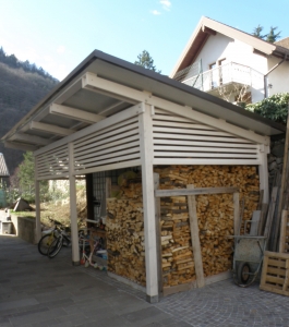 LEGNANIA CON PROGETTO